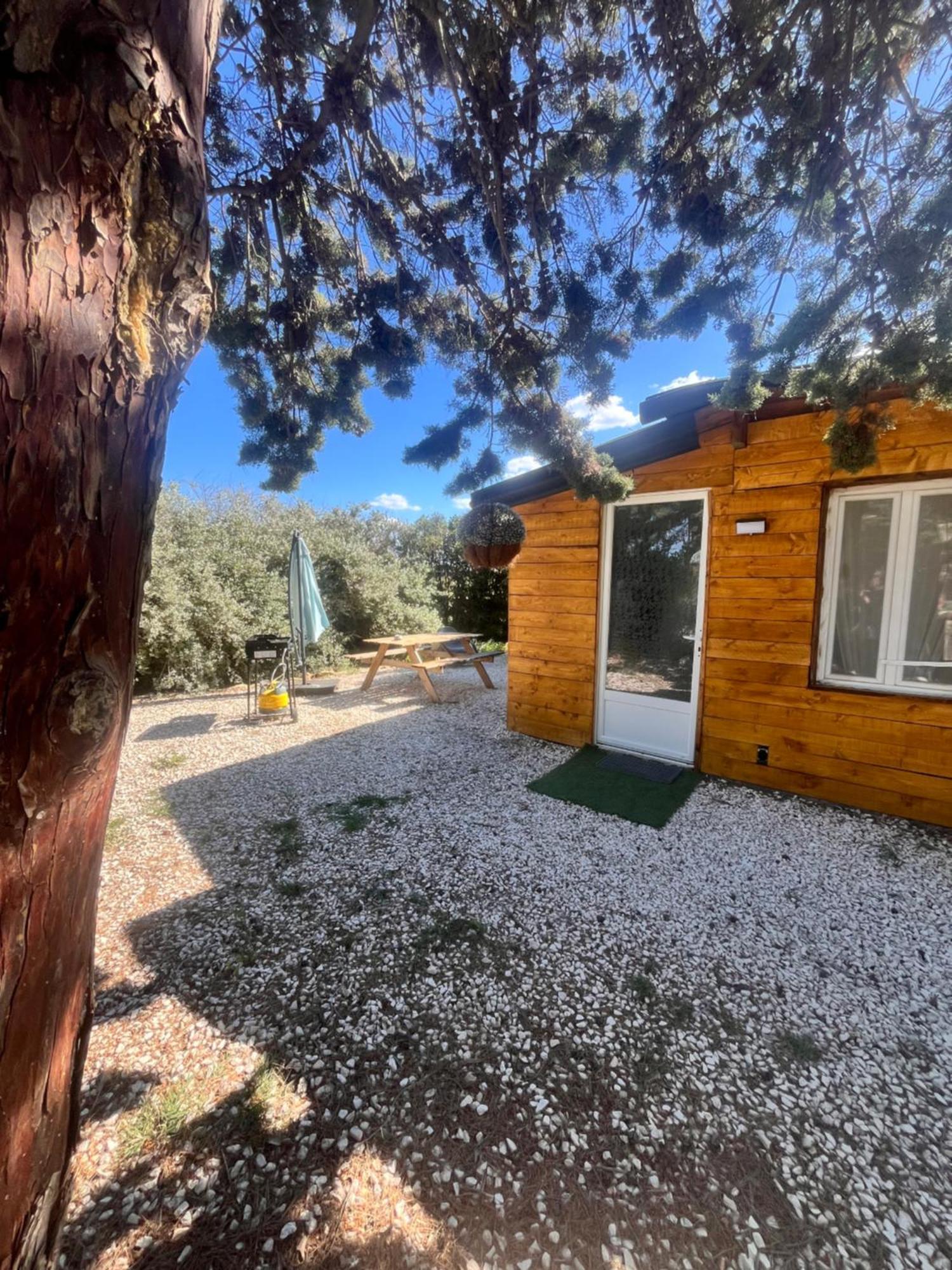Location T3 Jardin Avec Piscine Villa Meze Luaran gambar